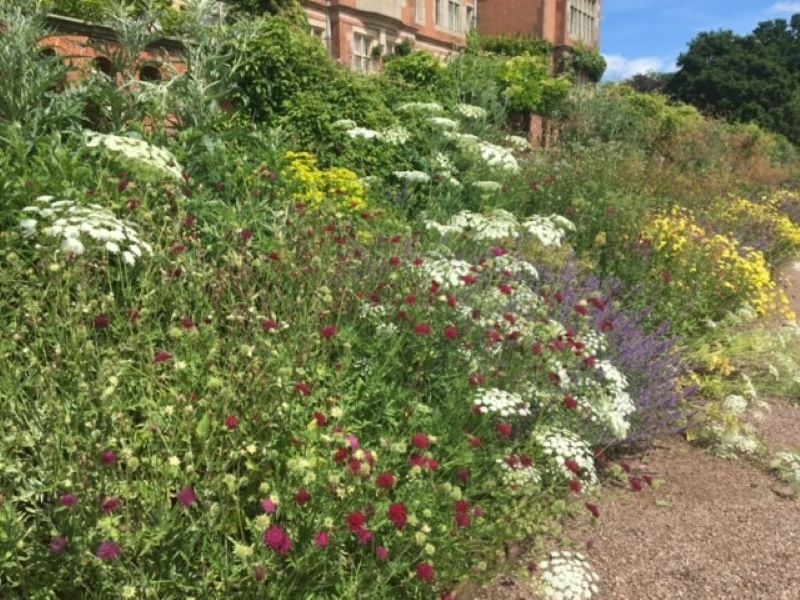 Hodnet Hall Gardens